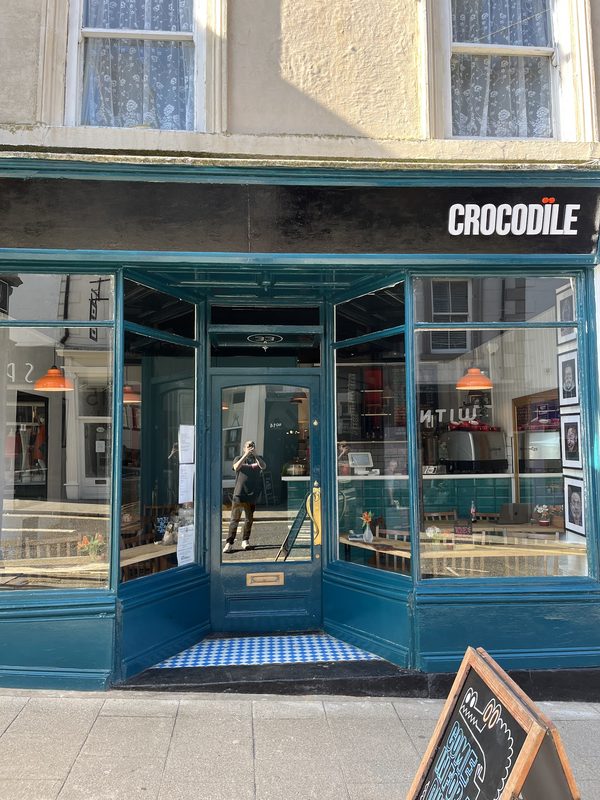 Crocodile