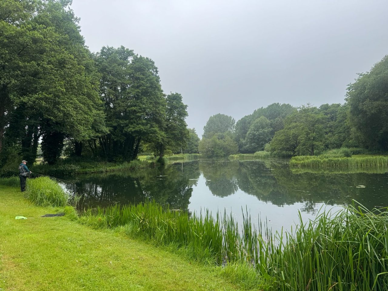 DAMERHAM TROUT FISHERIES