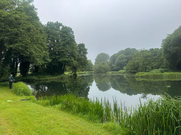 DAMERHAM TROUT FISHERIES