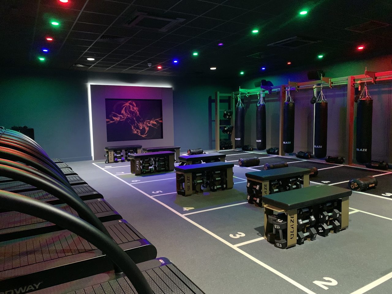 David Lloyd Leisure