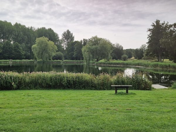 Dever Springs Trout Fishery