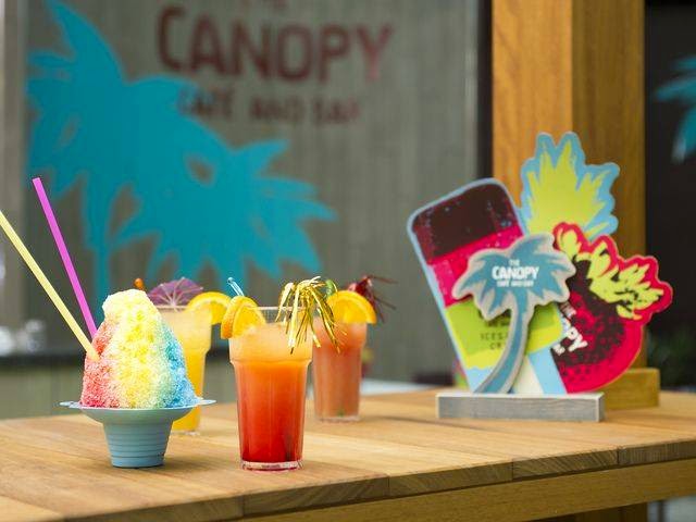 Dexters and Canopy Bar