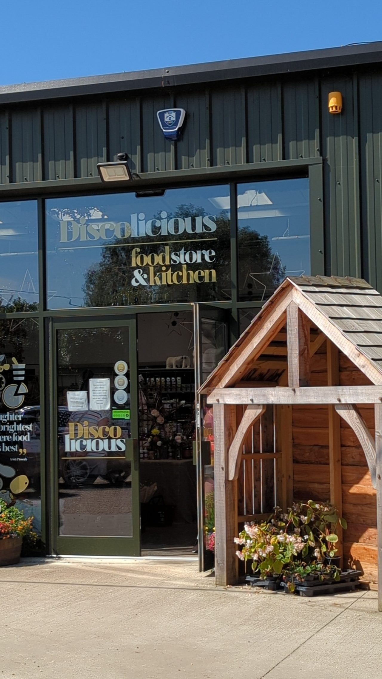 Disco-licious Ltd