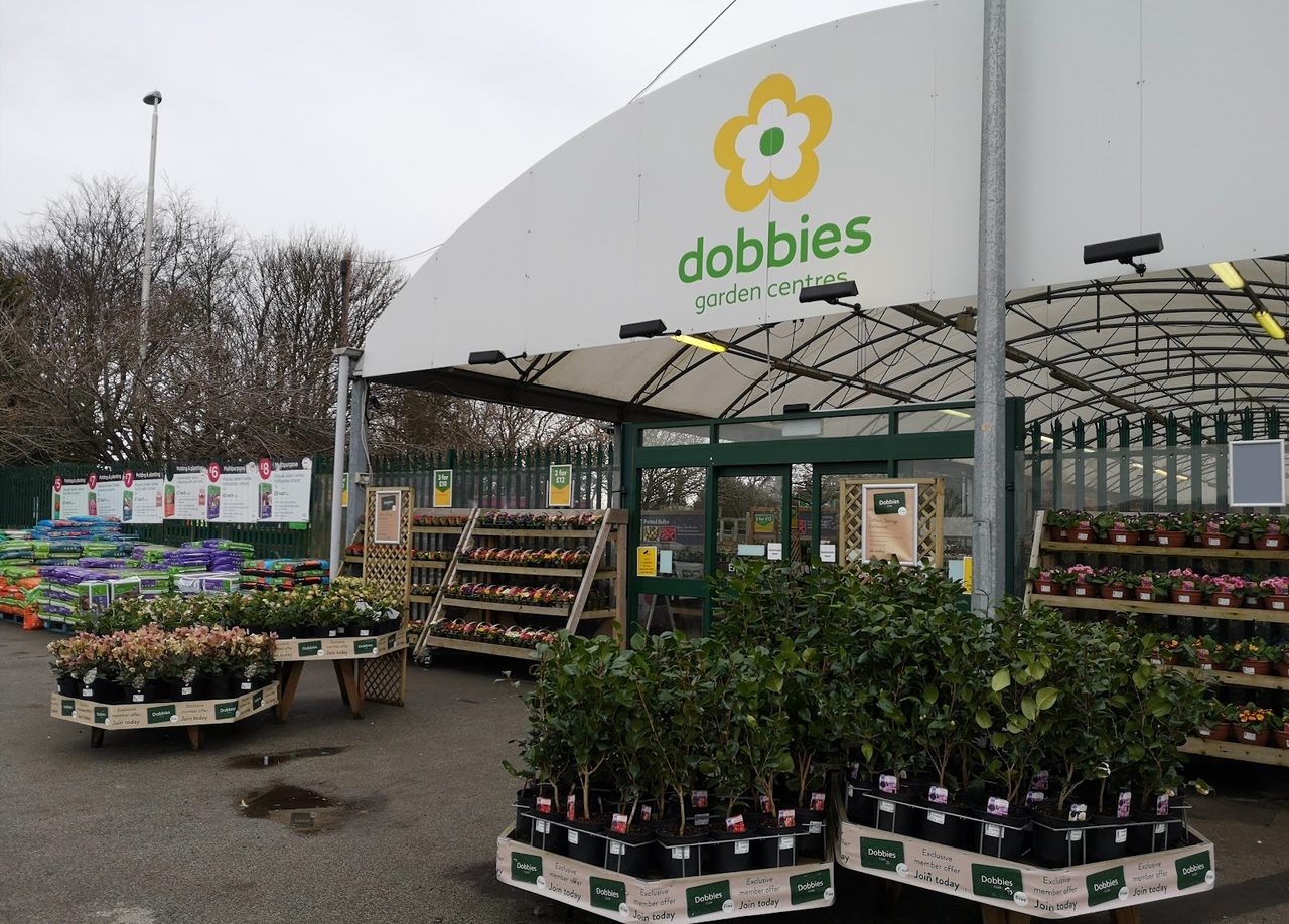 Dobbies