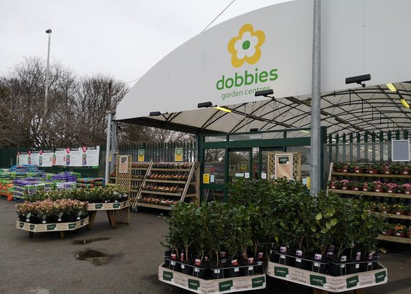 Dobbies