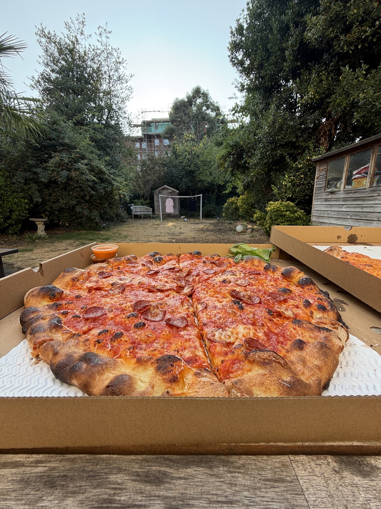 Doctor Dough Pizza
