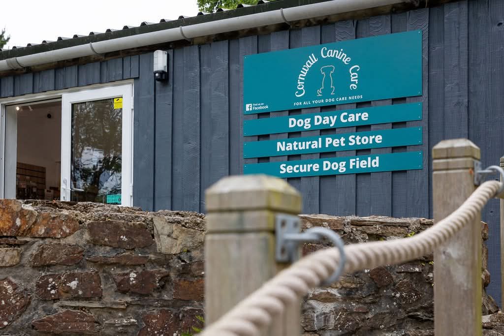 Doggy Day Care Cornwall