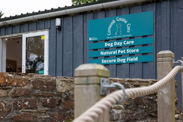 Doggy Day Care Cornwall