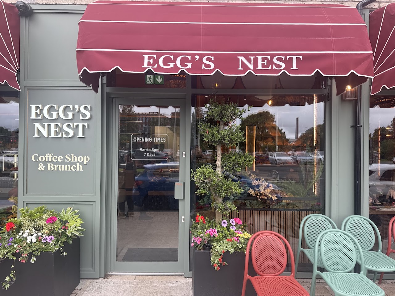 Egg Nest