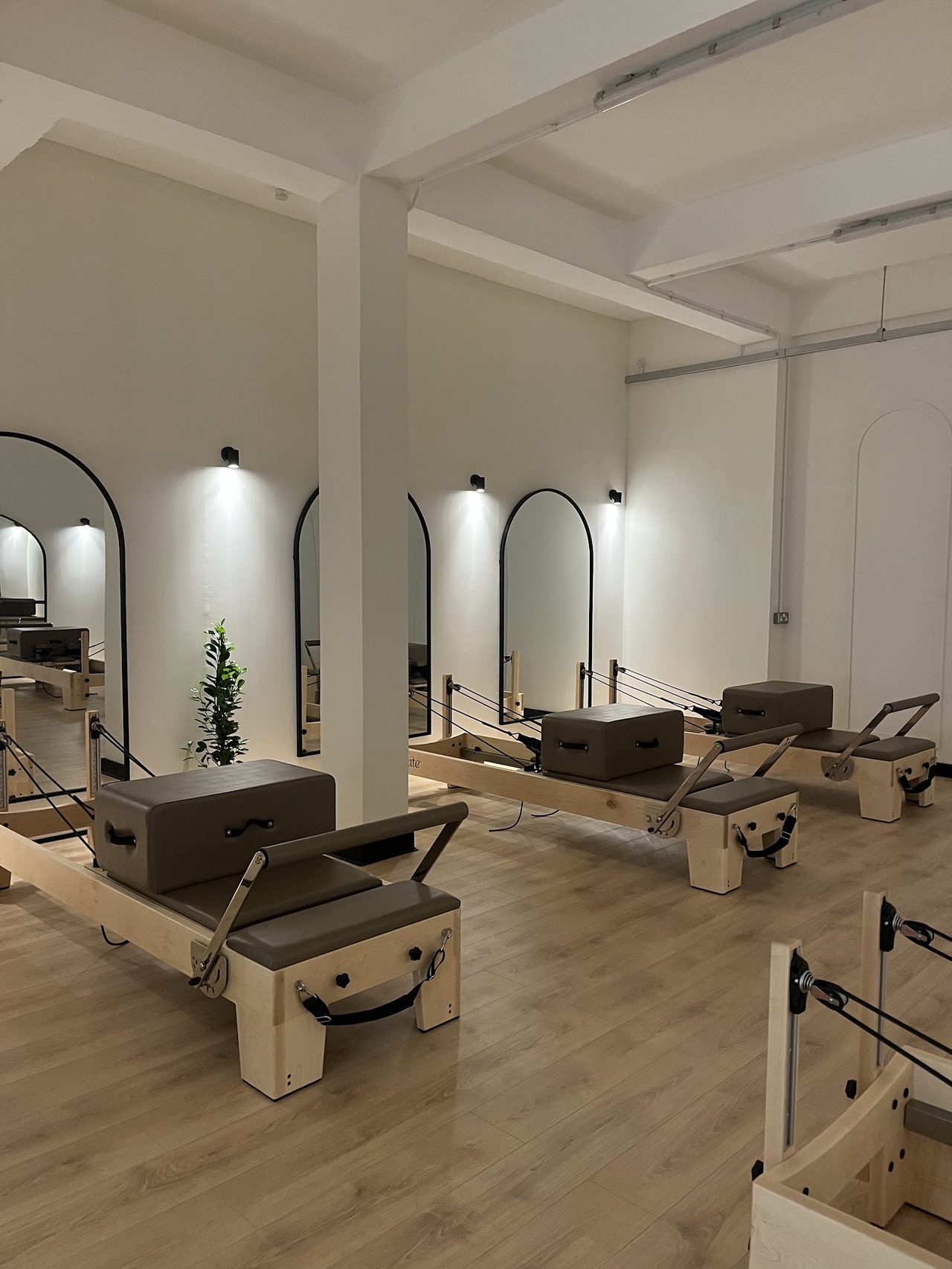 Elevate Pilates and Wellness Club