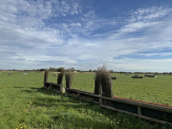 Epworth Equestrian Ltd