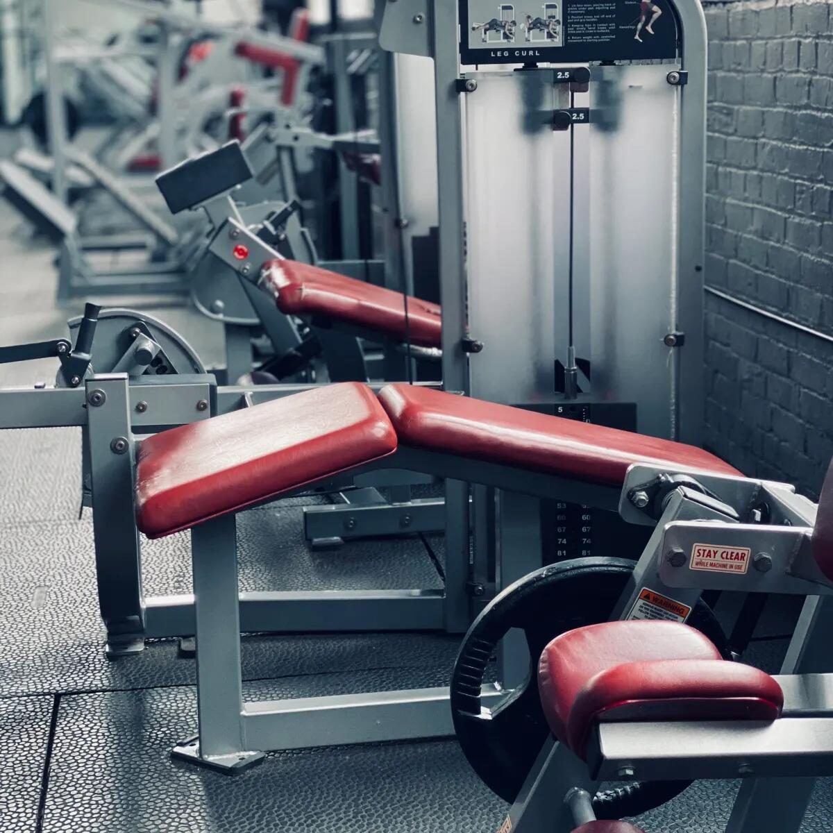 Evolution Physical Excellence