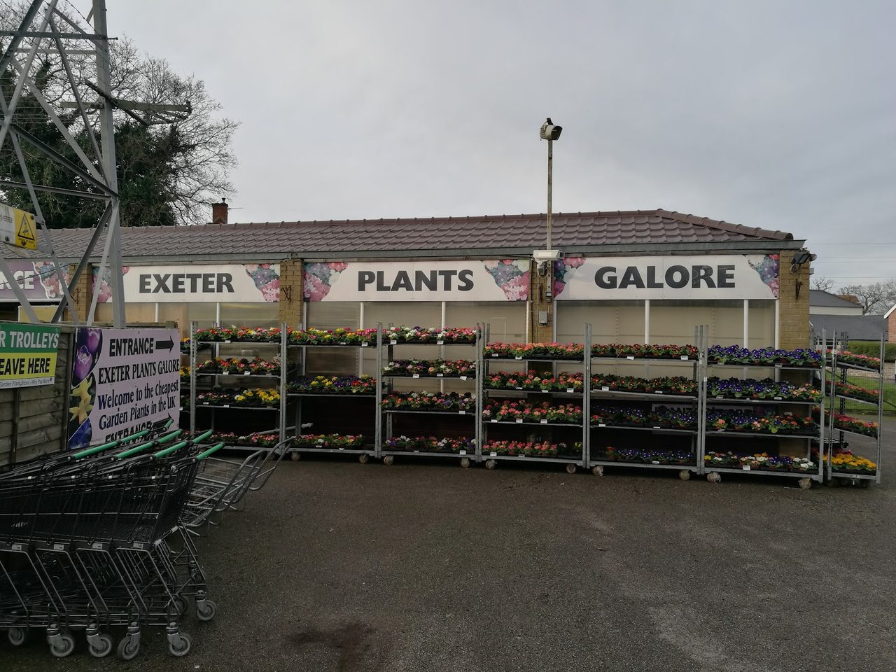 Exeter Garden Centre