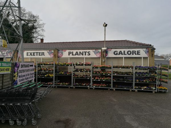 Exeter Garden Centre