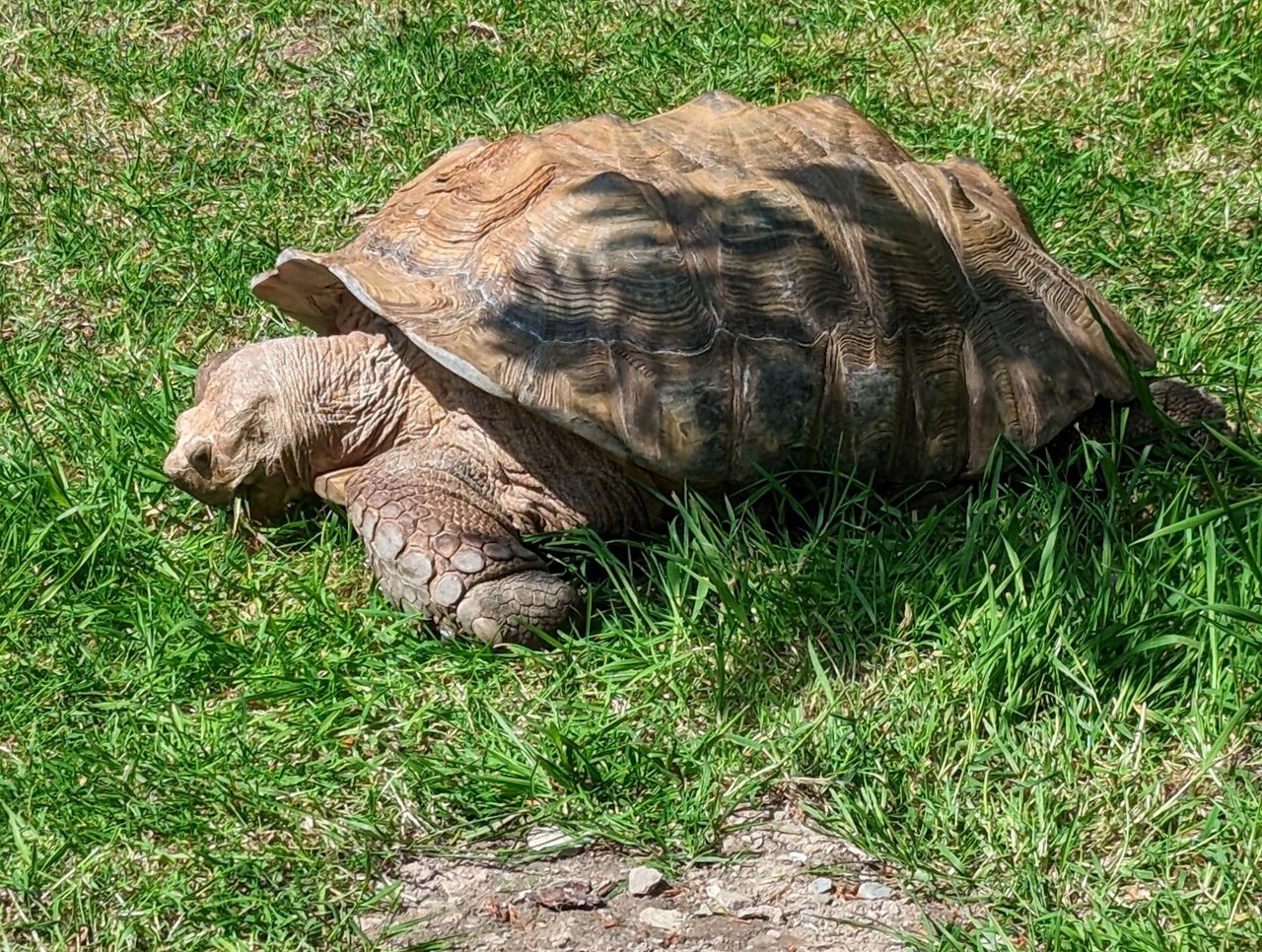 Exmoor Zoological Park