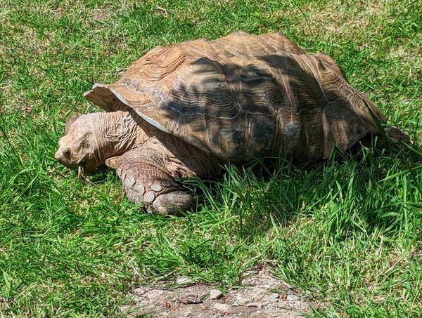 Exmoor Zoological Park