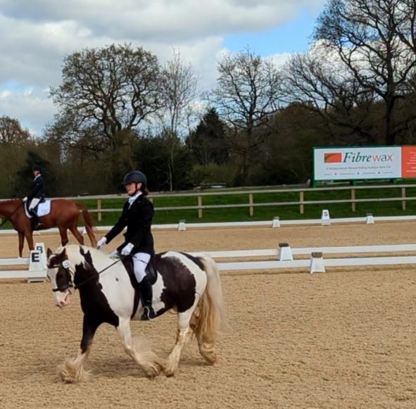 Felbridge Showground