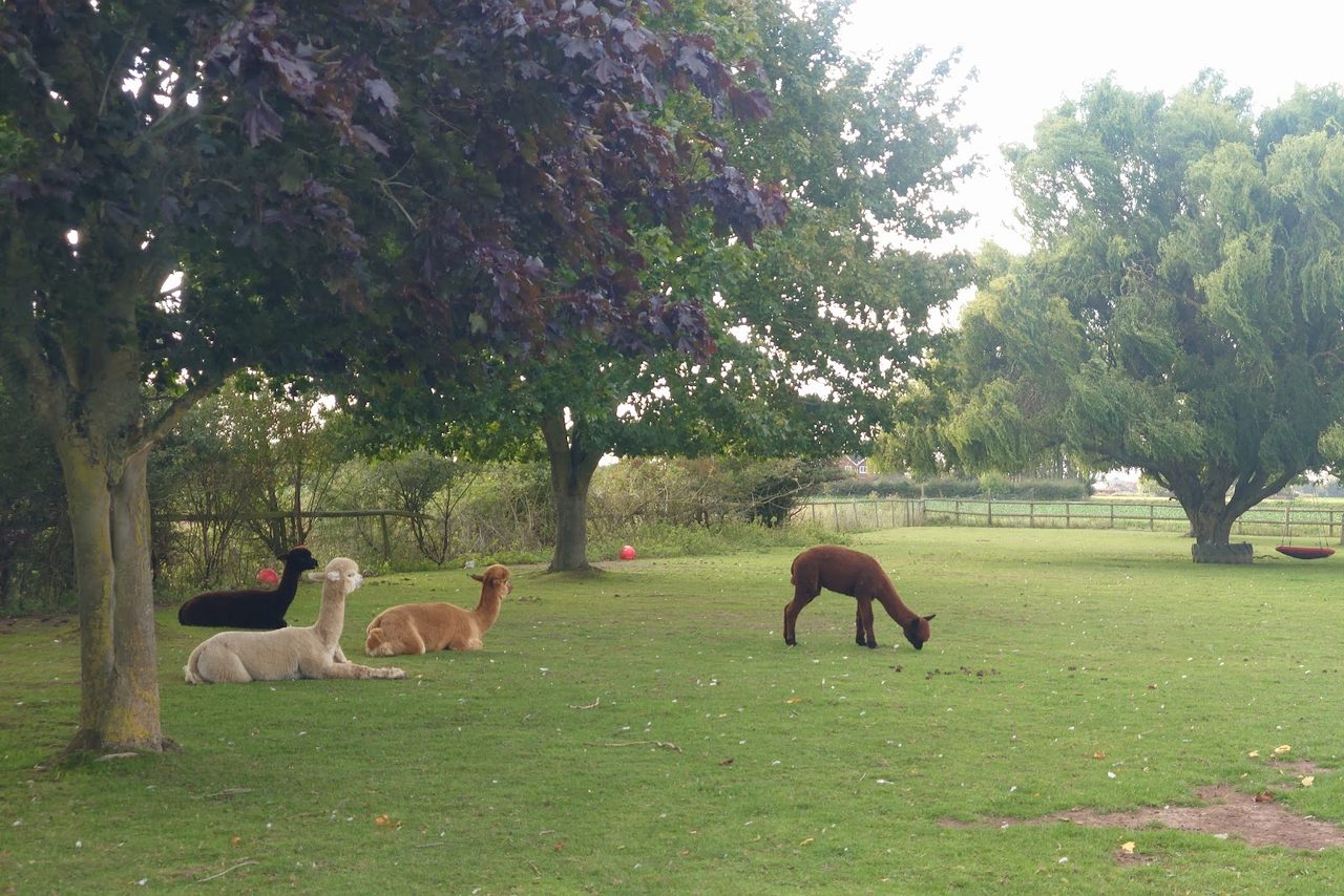 Fields Farm Nature Play & Therapy CIC