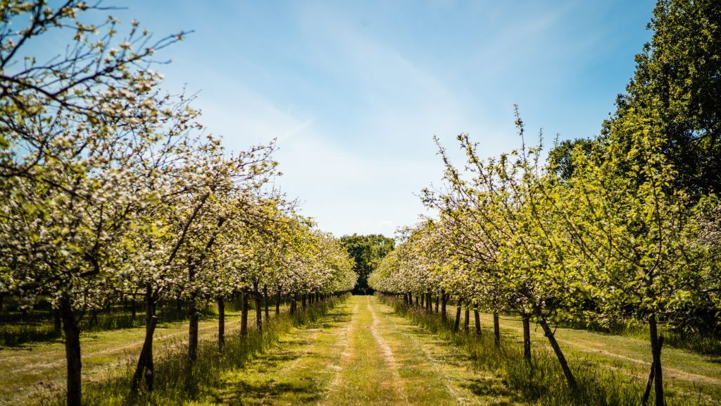 Froginwell Vineyard And Cider Barn