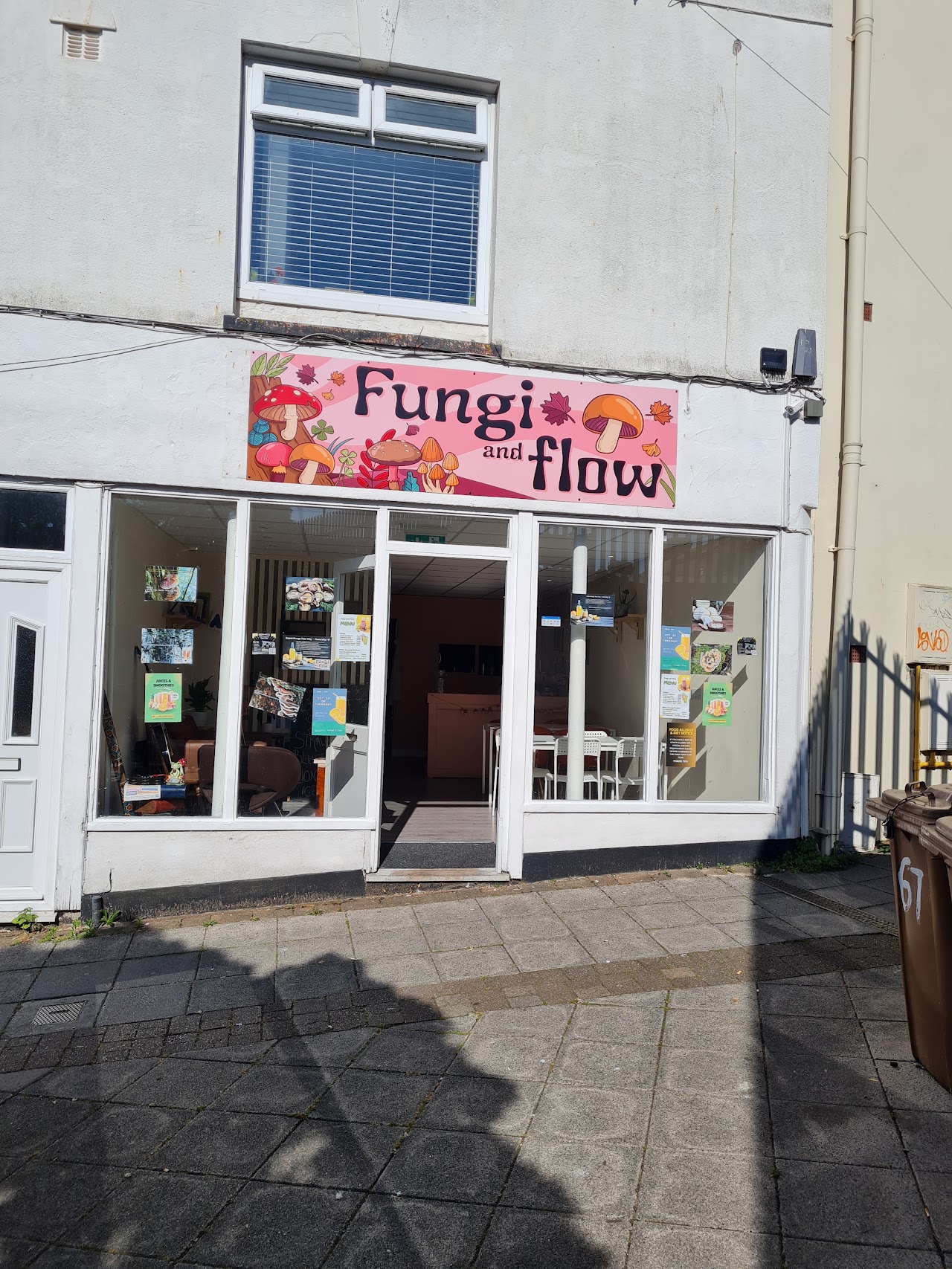 Fungi & Flow