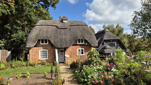 FURZEY TEA ROOMS