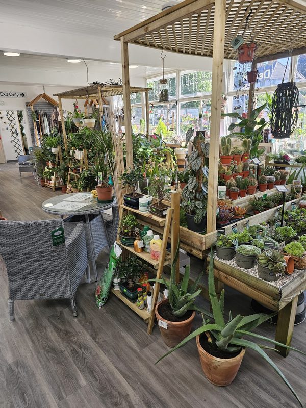 Garden Build Garden Essentials and Giftware