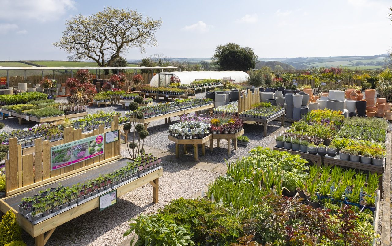Glasshouse Cafe