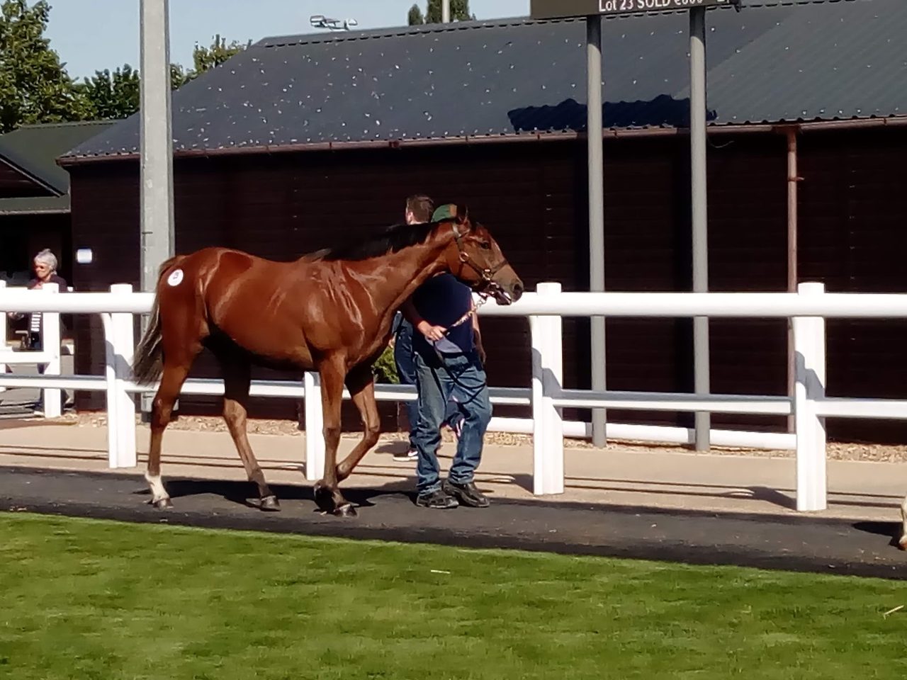 Goffs Uk