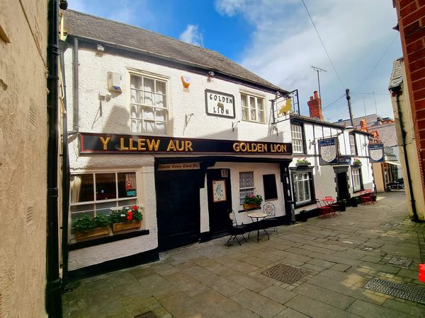 Golden Lion