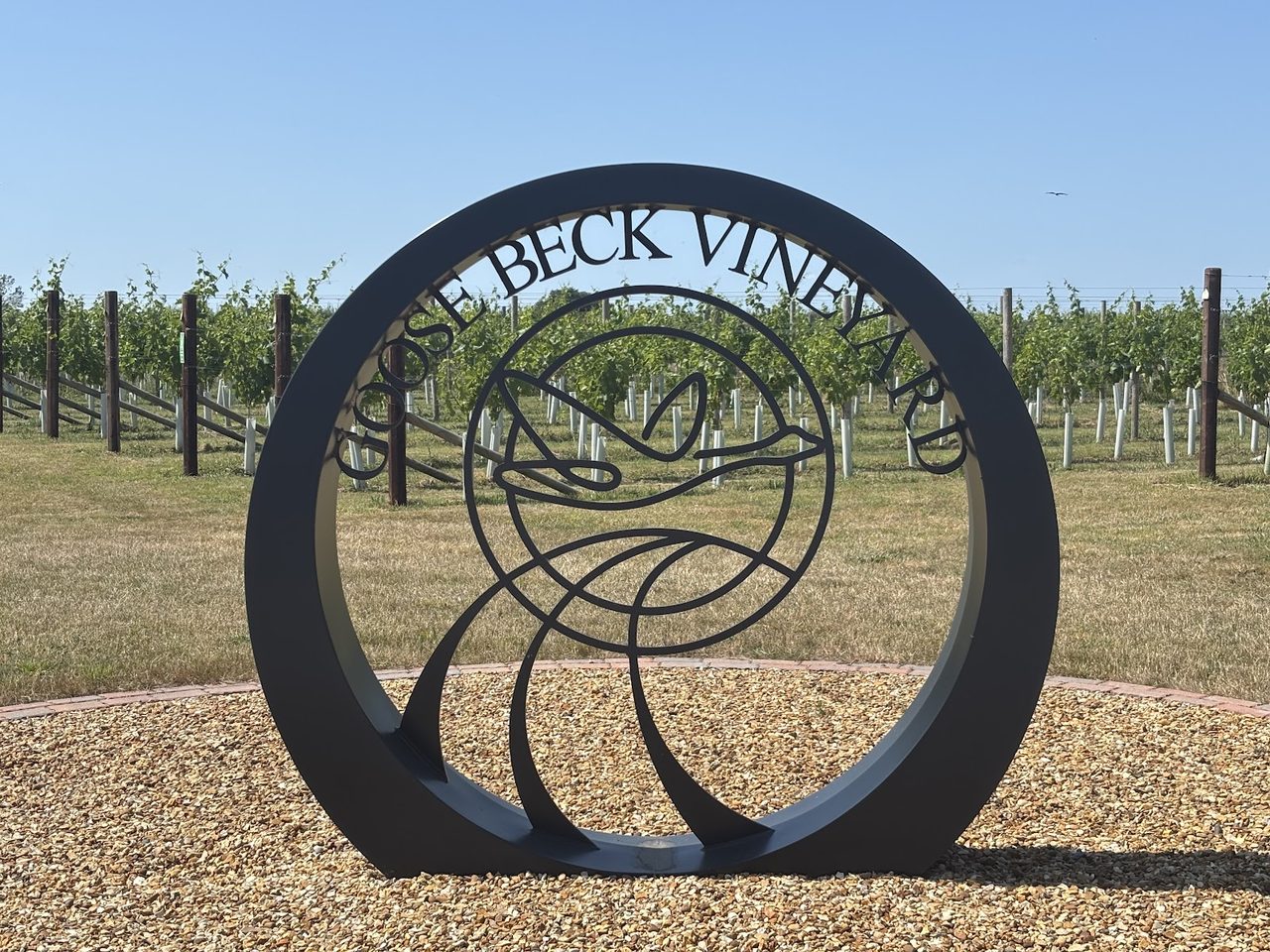 Goose Beck Vineyard