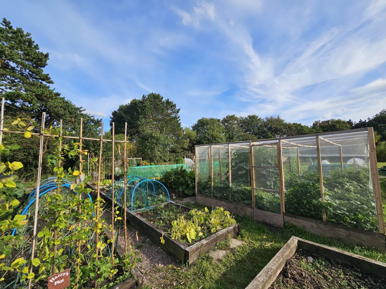 Goscote Greenacres Community Garden
