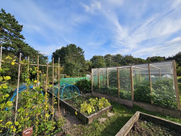 Goscote Greenacres Community Garden