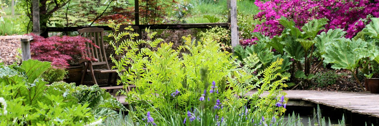 Green Island Gardens - Tearoom