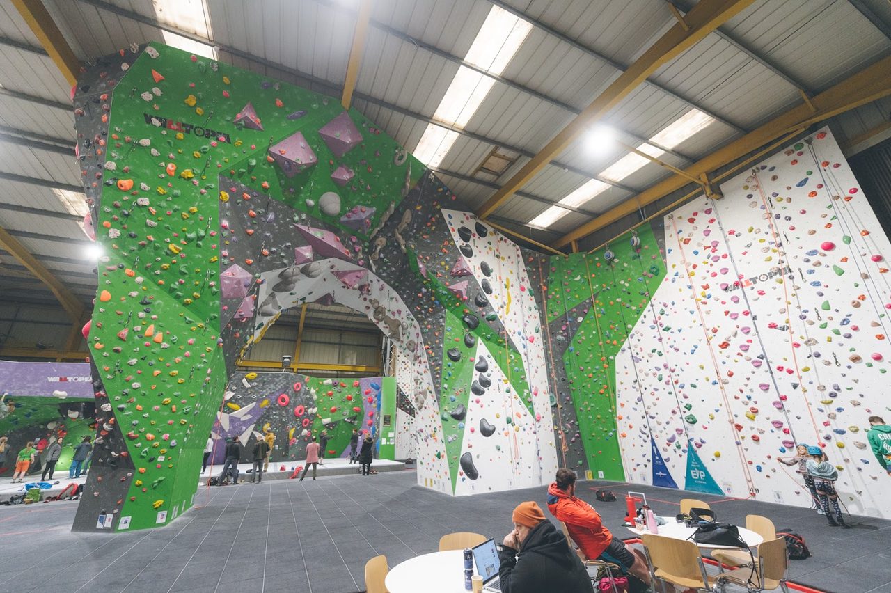 Green Spider Climbing