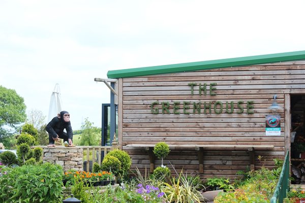 Greenhouse Restaurant & Potters Deli