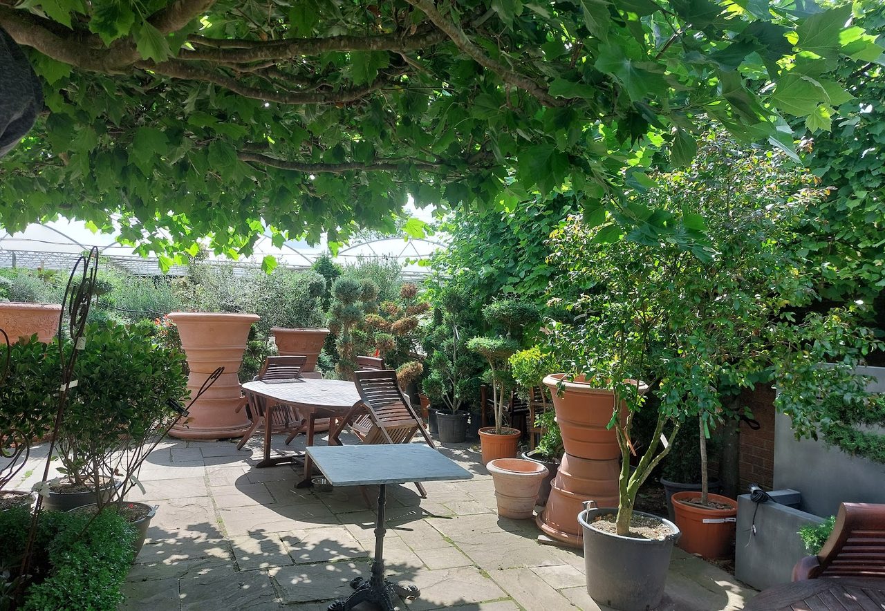 Greenhouse Tea Rooms
