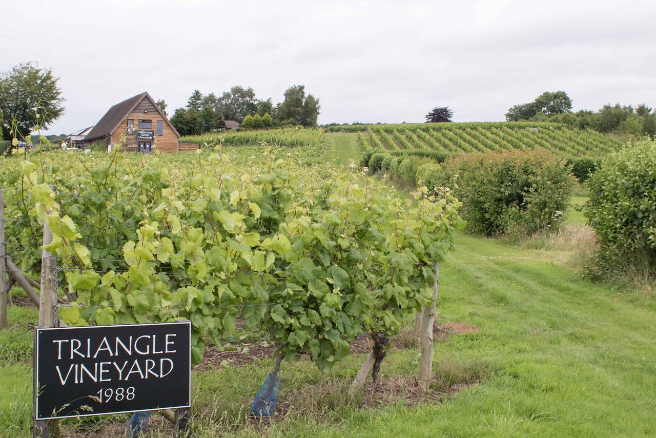 Halfpenny Green Wine Estate