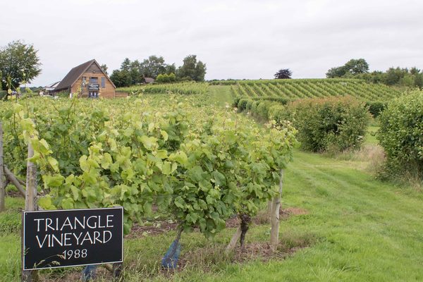 Halfpenny Green Wine Estate