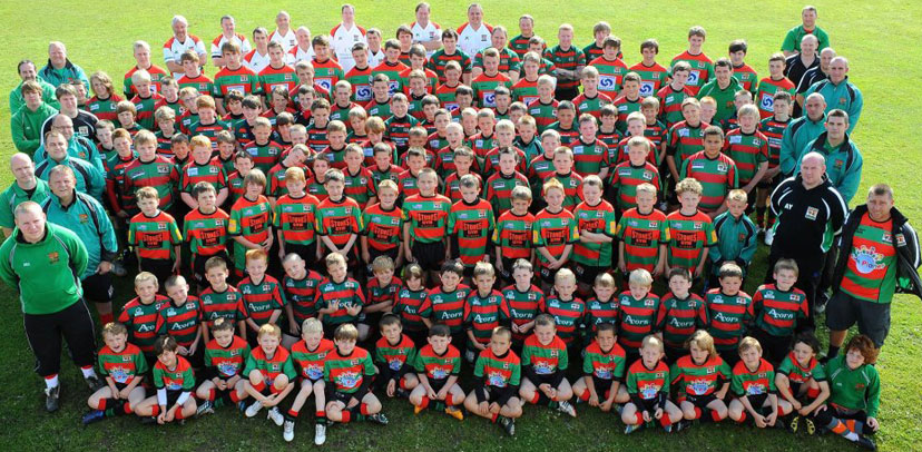 Halton Farnworth Hornets incorporating Willmere Lounge