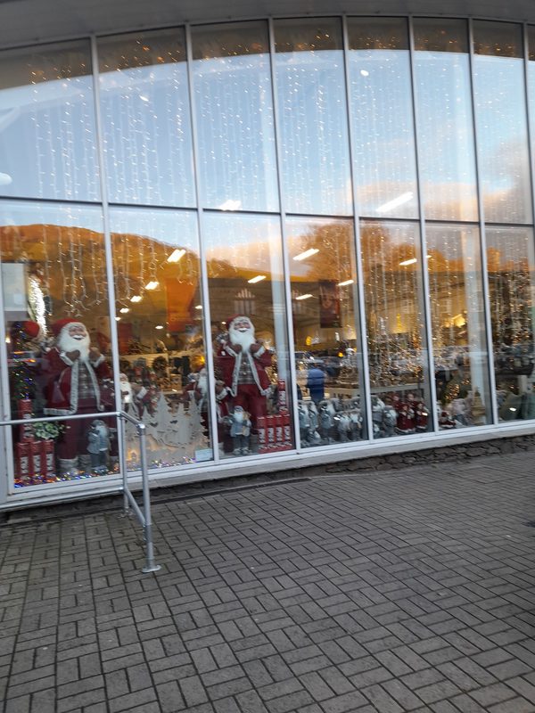 Hayes Garden Centre