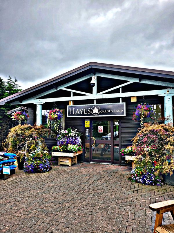 Hayes Gardenland