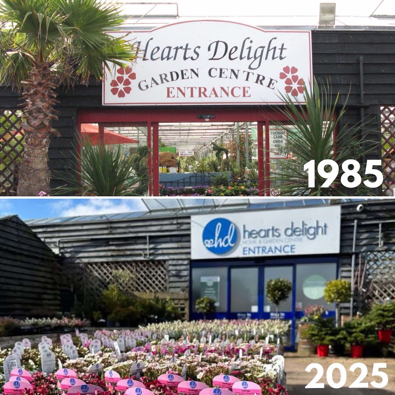 Hearts Delight Garden Cafe