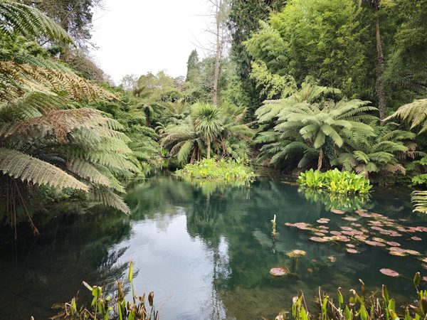 Heligan Gardens