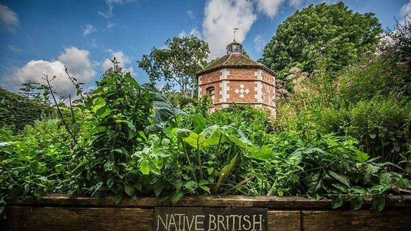 Hellens Manor Tea Room