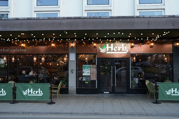 Herb