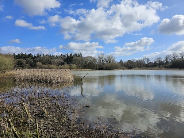 Herons Rest
