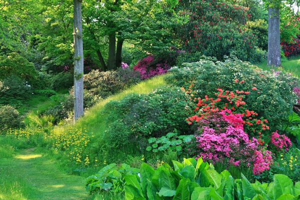 High Beeches Woodland And Water Garden