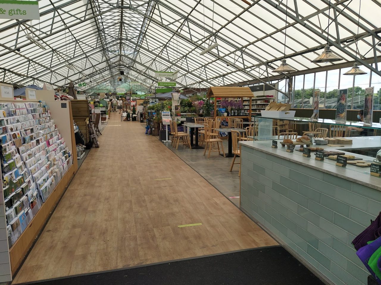 Honesty At Basingstoke Garden Centre