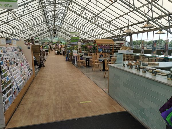 Honesty At Basingstoke Garden Centre