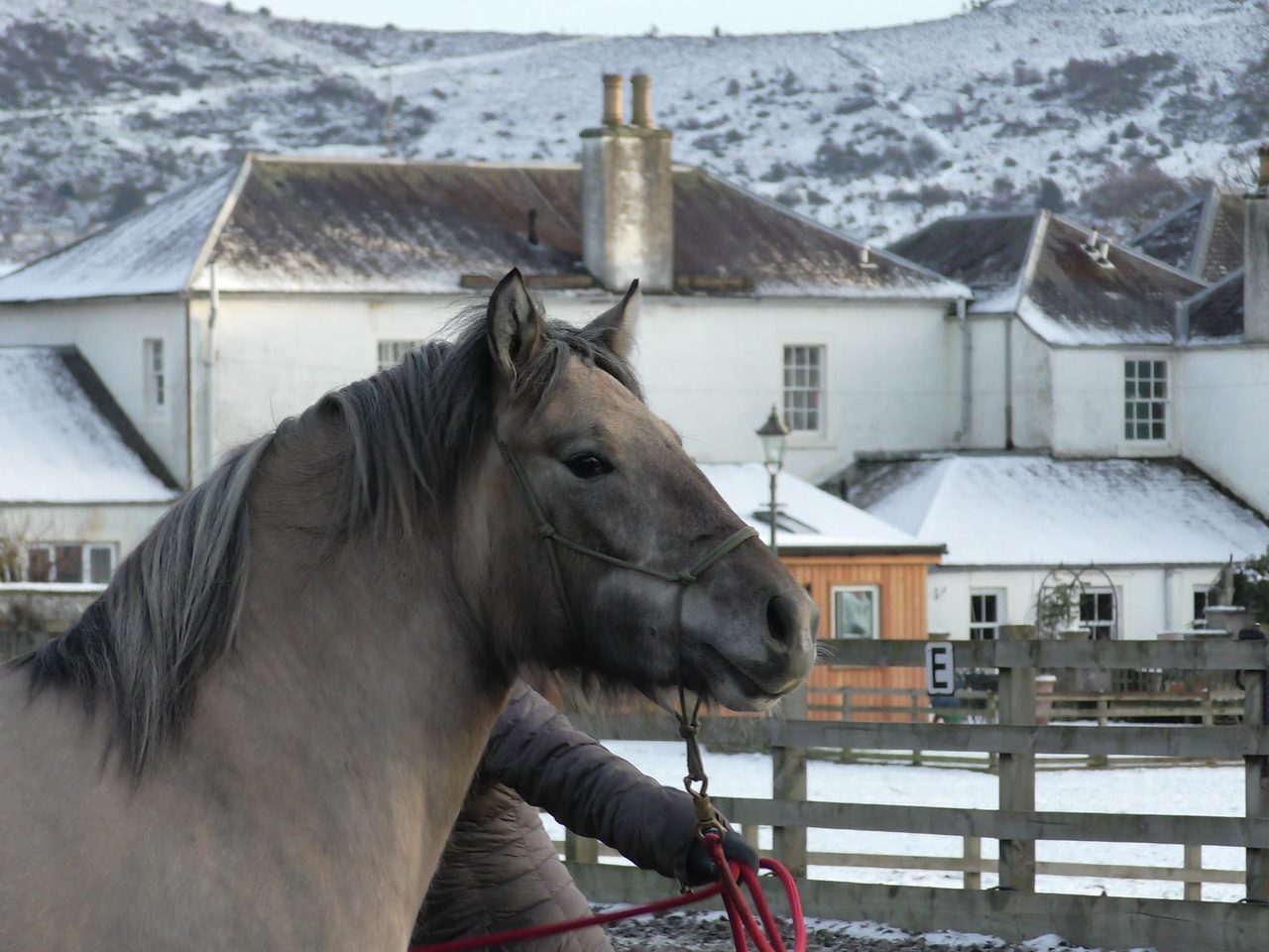 Ian Stark Equestrian Centre Cafe
